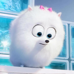 Gidget - "The Secret Life of Pets (2016)" - first aired in GMA7, 2019